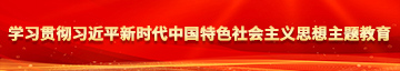 日穴视频免费在线观看学习贯彻习近平新时代中国特色社会主义思想主题教育